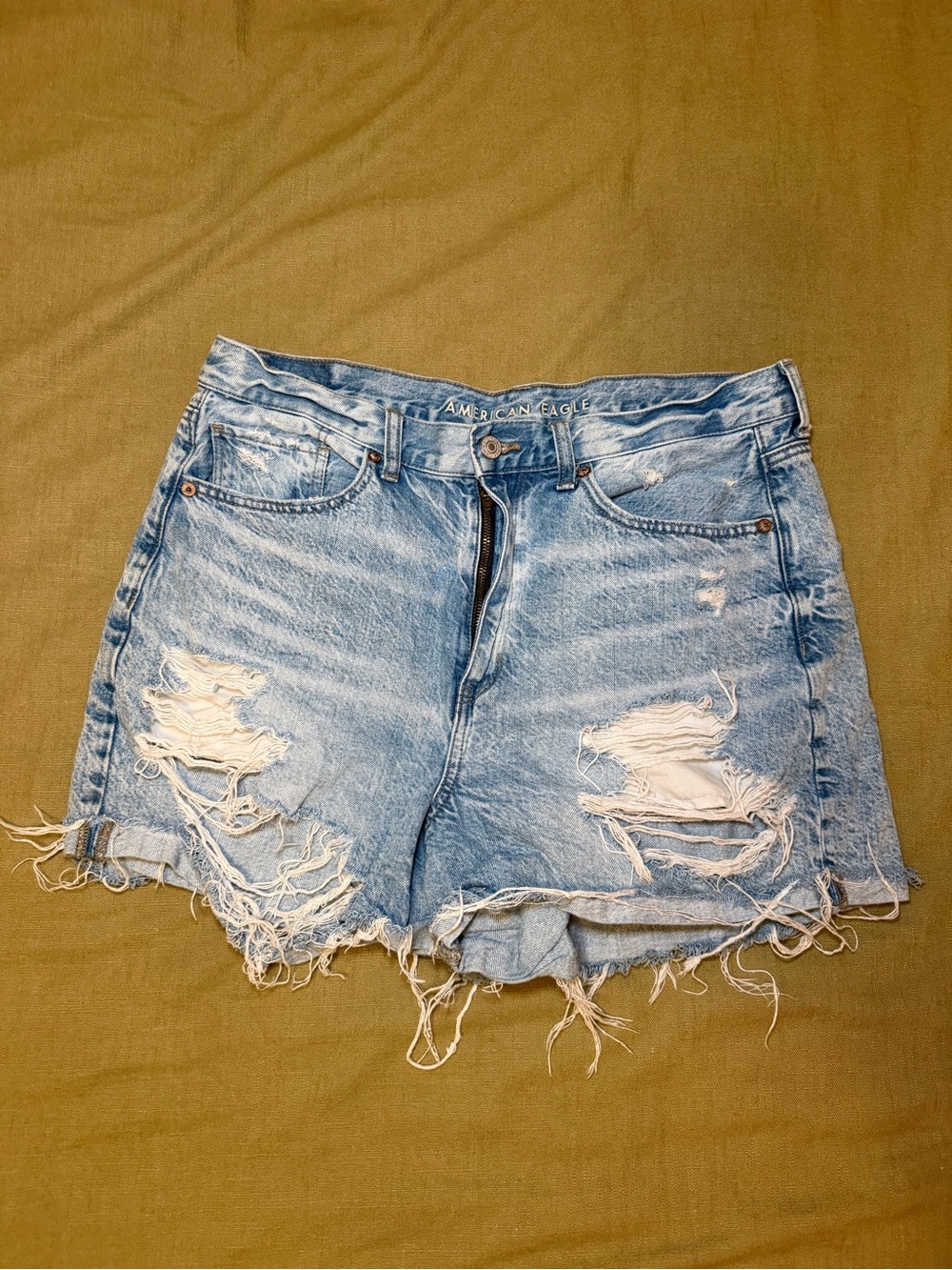 American Eagle Outfitters Light Blue Distressed Denim Cutoff Shorts